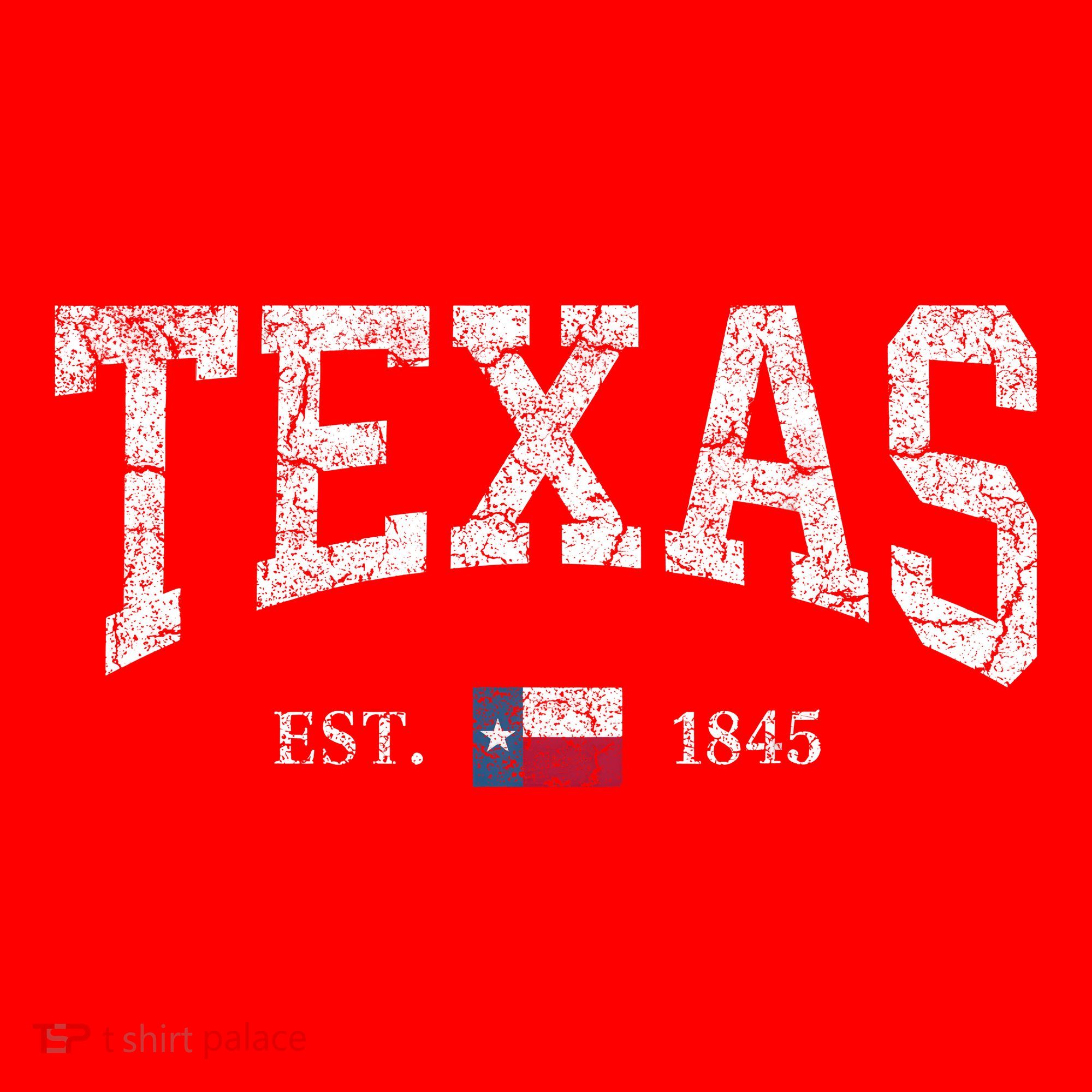 Texas Women Men Kids Texas State Map Flag Distressed Santa Hat