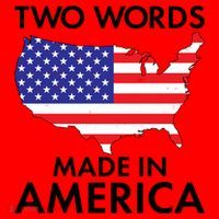 Two Words Made In America Santa Hat thumb 1