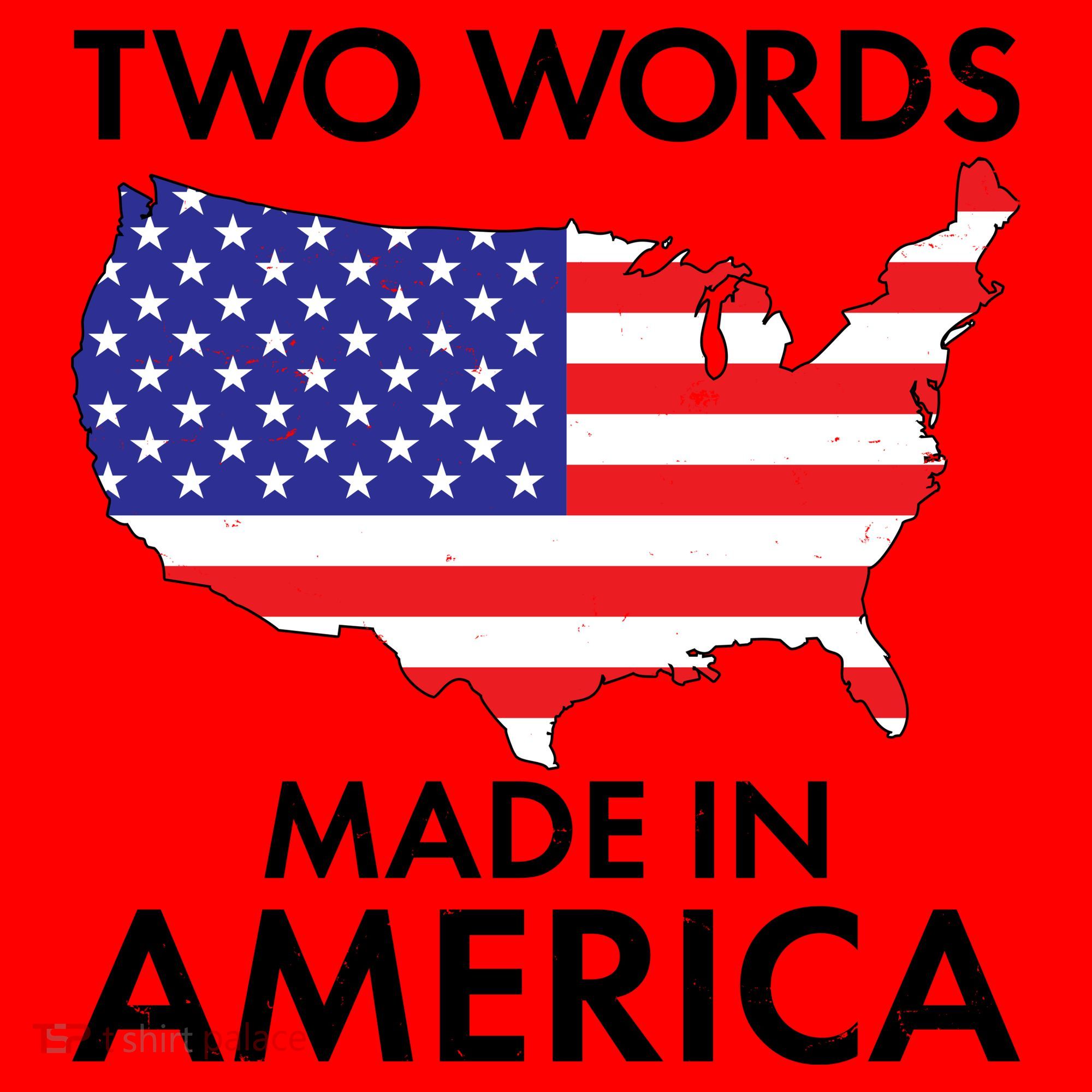 Two Words Made In America Santa Hat