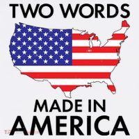 Two Words Made In America Button thumb 1