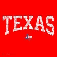 Texas Women Men Kids Texas State Map Flag Distressed Santa Hat thumb 1