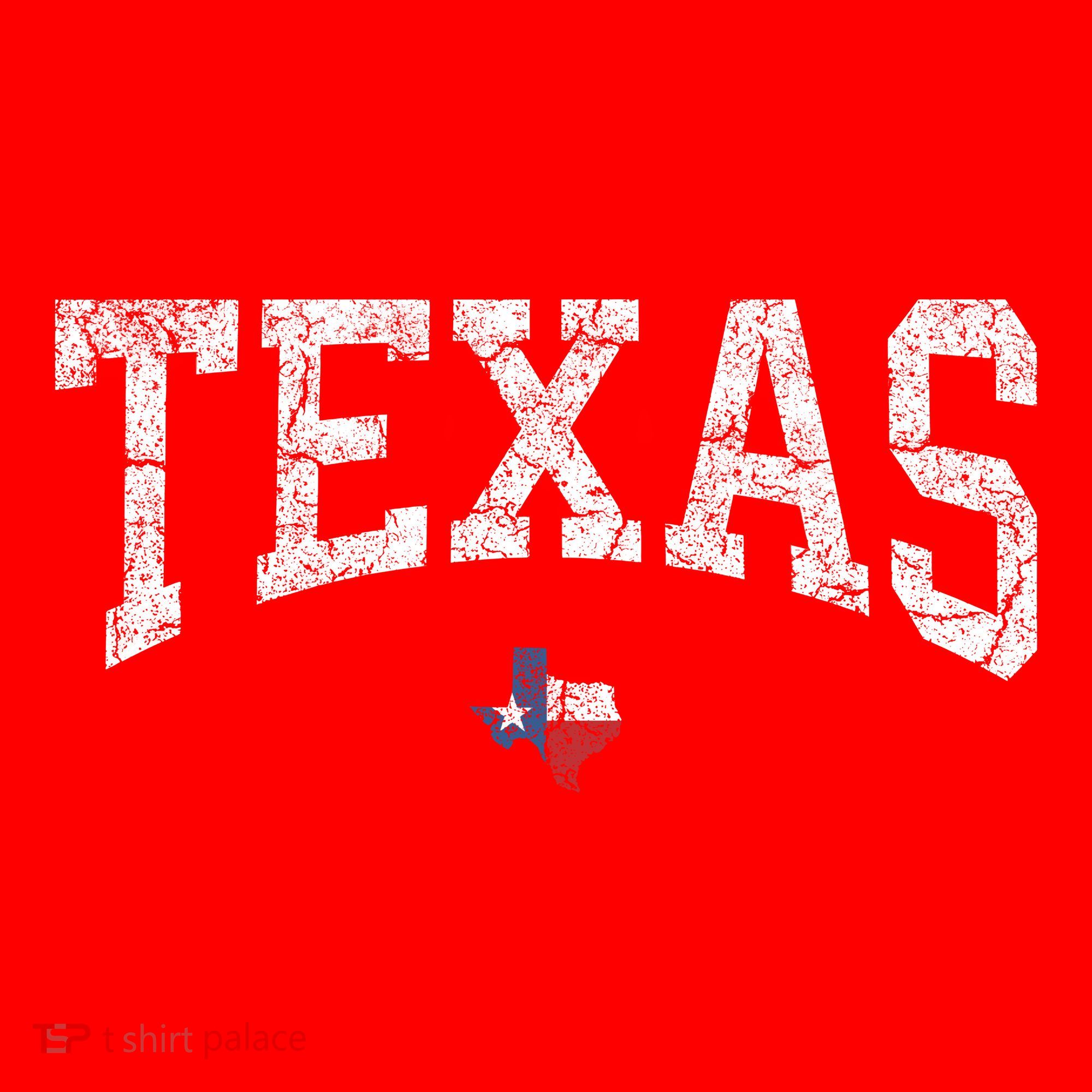 Texas Women Men Kids Texas State Map Flag Distressed Santa Hat