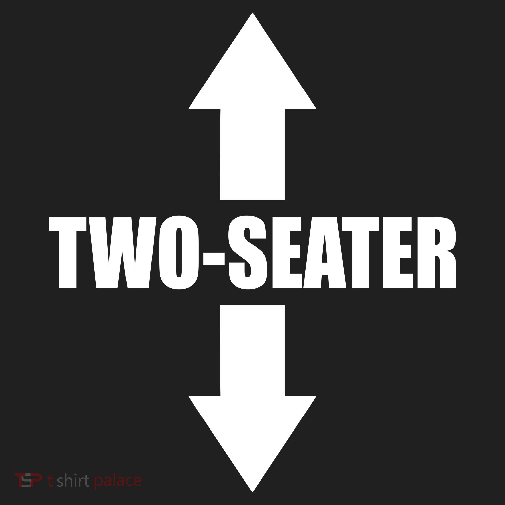 Two Seater Arrow Funny Tumbler
