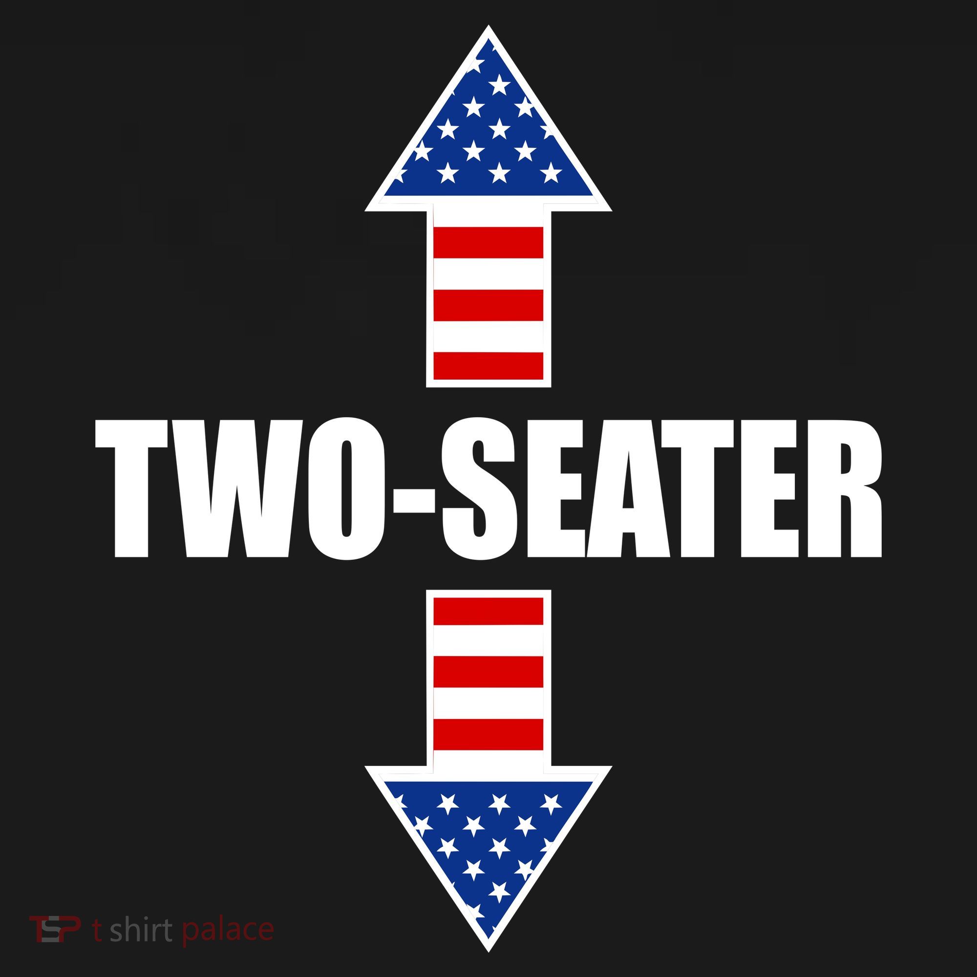 Two-Seater USA Flag Arrows Funny Kids T-Shirt