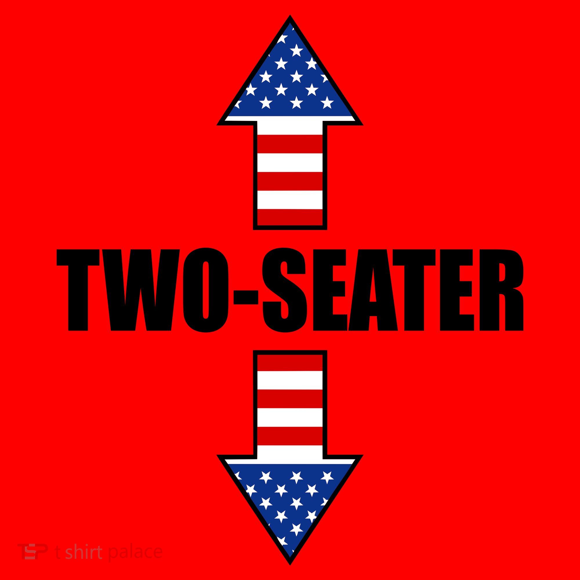 Two-Seater USA Flag Arrows Funny Santa Hat