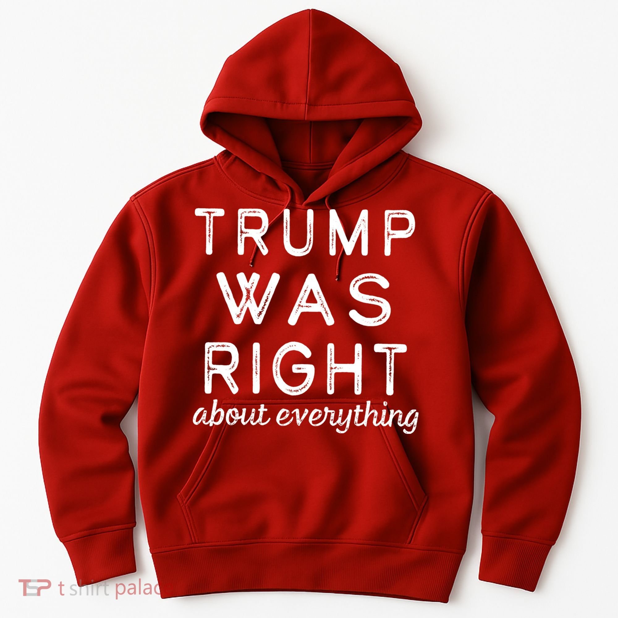 Trump Was Right About Everything, Pro Trump, Anti Biden, Republican Hoodie