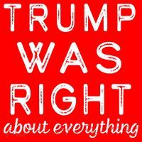Trump Was Right About Everything, Pro Trump, Anti Biden, Republican Ornament thumb 1