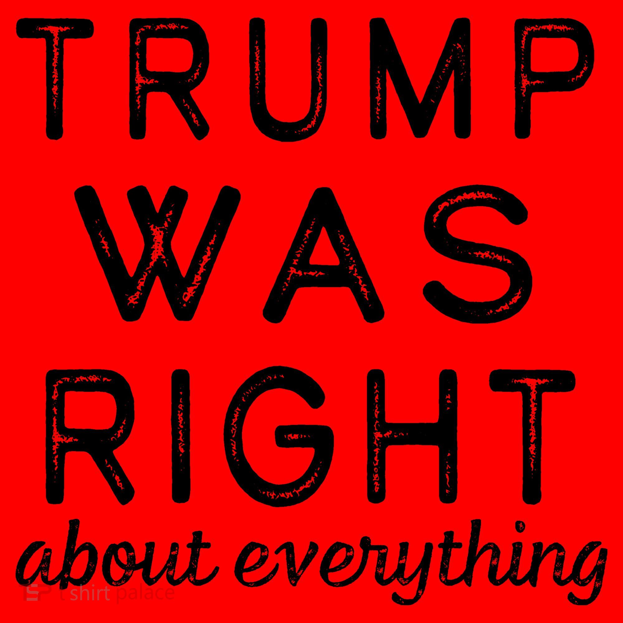 Trump Was Right About Everything, Pro Trump, Anti Biden, Republican Santa Hat