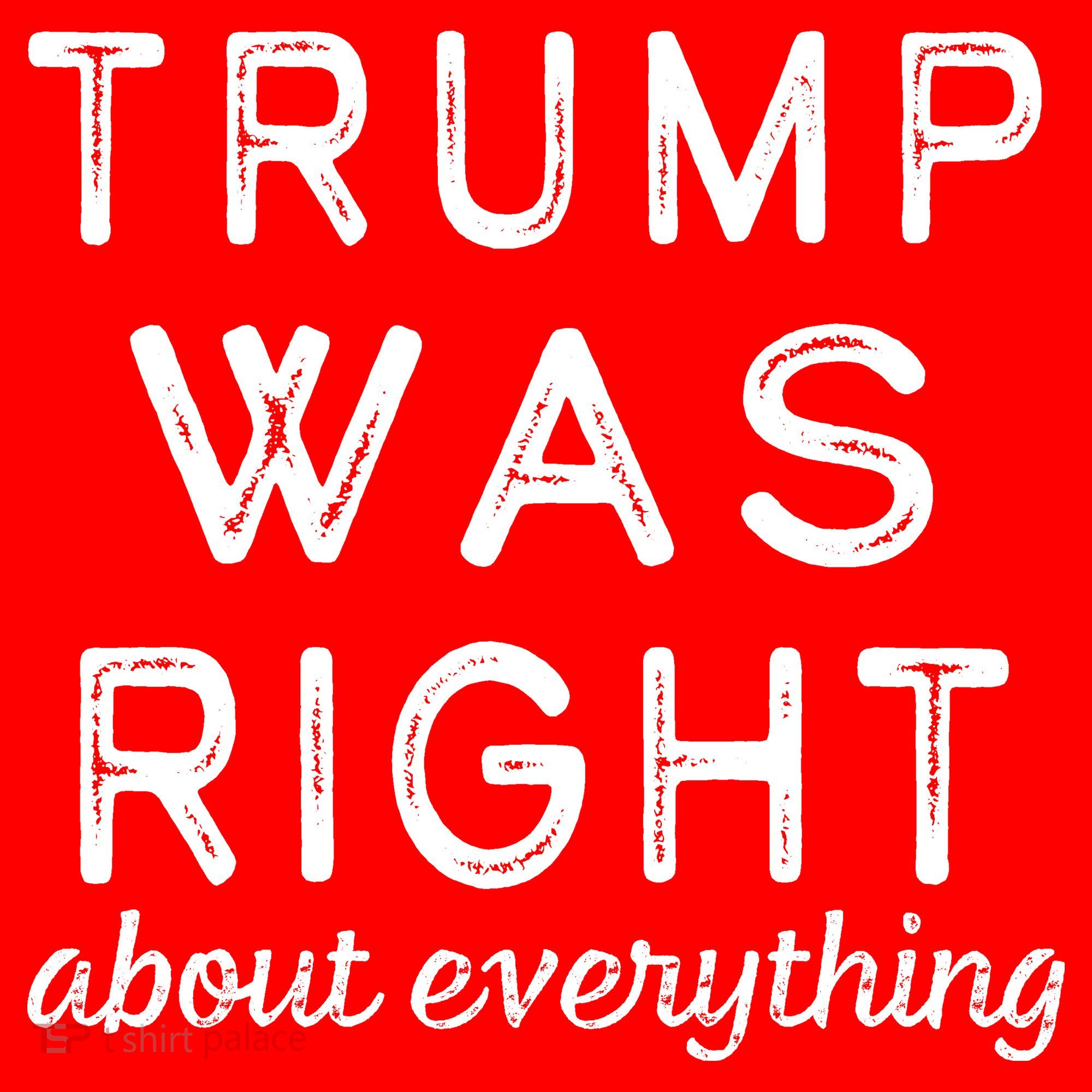 Trump Was Right About Everything, Pro Trump, Anti Biden, Republican Toddler T-Shirt