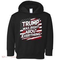 Trump Was Right About Everything Toddler Hoodie thumb 0