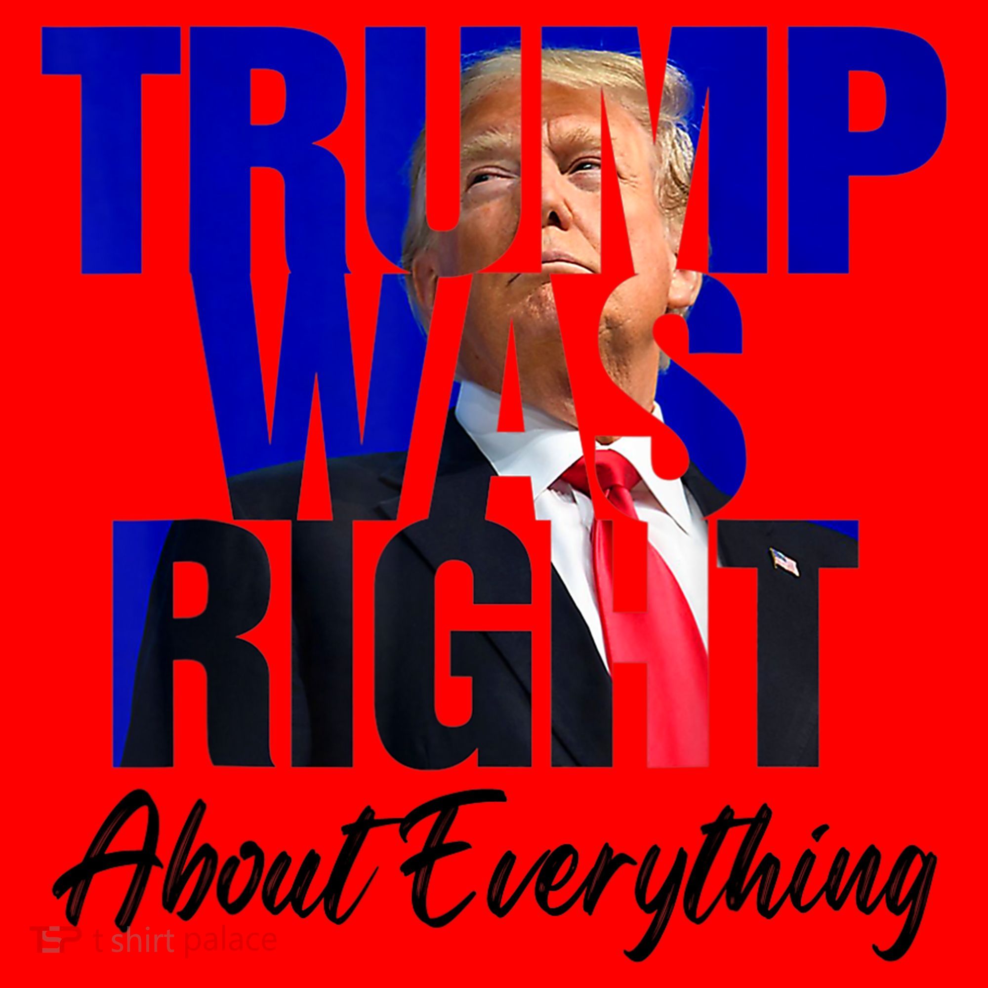 Trump Was Right About Everything Funny Political Santa Hat