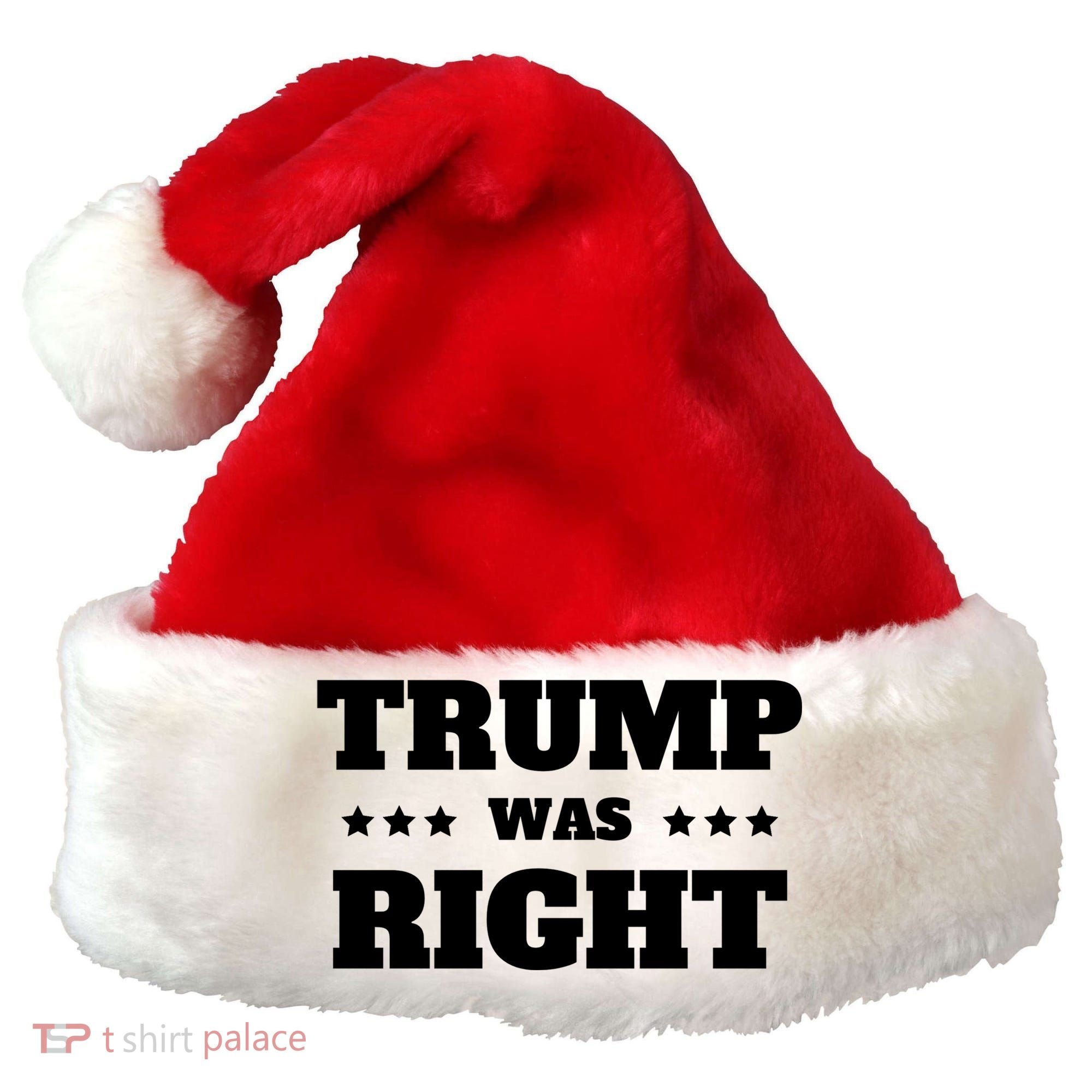 Trump Was Right Star Santa Hat
