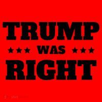 Trump Was Right Star Santa Hat thumb 1