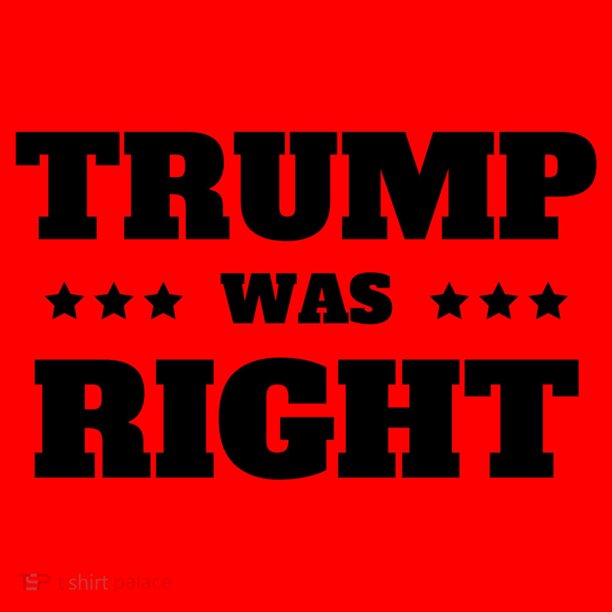 Trump Was Right Star Santa Hat