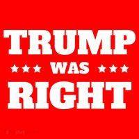 Trump Was Right Star Women's T-Shirt thumb 6