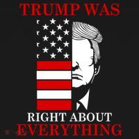 Trump Was Right About Everything USA Flag Ornament thumb 1