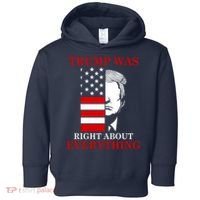 Trump Was Right About Everything USA Flag Toddler Hoodie thumb 0