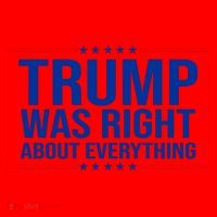 Trump Was Right About Everything Funny USA Santa Hat thumb 1