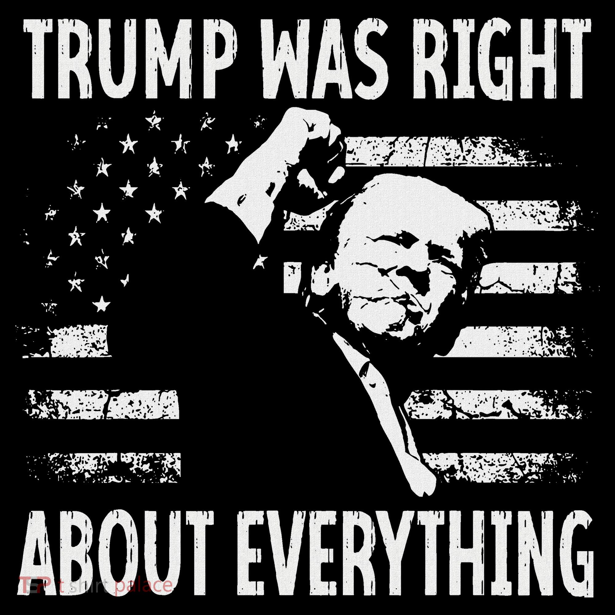Trump Was Right About Everything American Flag 45 47 Women's Hoodie