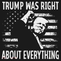 Trump Was Right About Everything American Flag 45 47 Ornament thumb 1