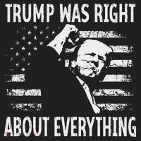 Trump Was Right About Everything American Flag 45 47 Hat thumb 2