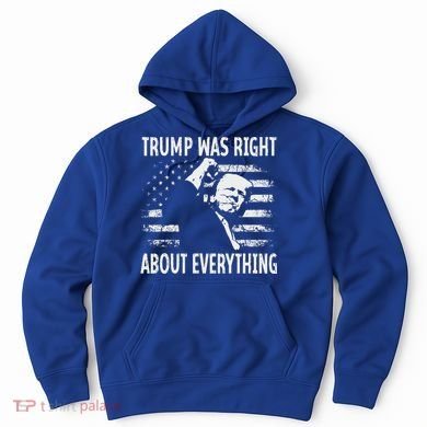 Trump Was Right About Everything American Flag 45 47 Hoodie