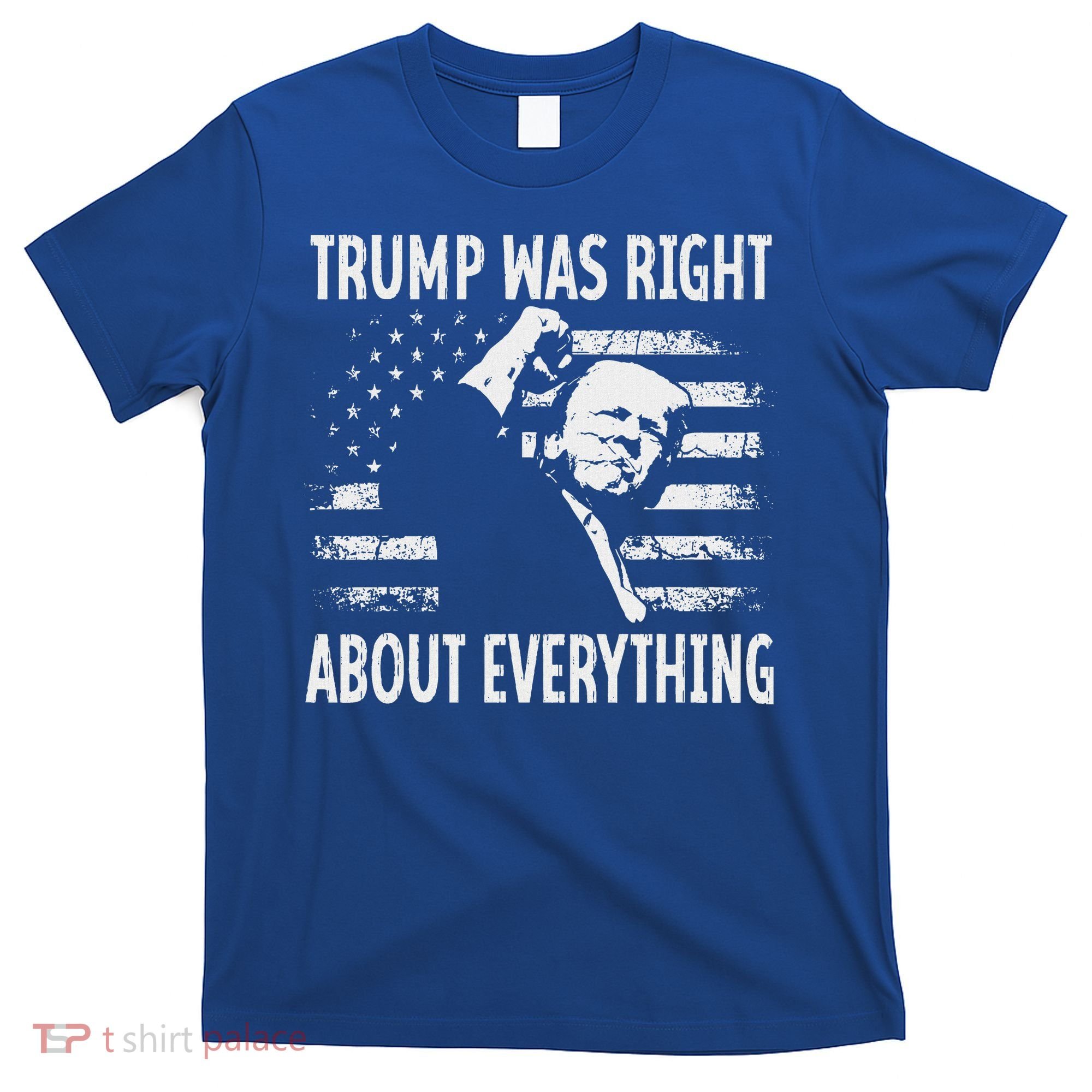Trump Was Right About Everything American Flag 45 47 T-Shirt
