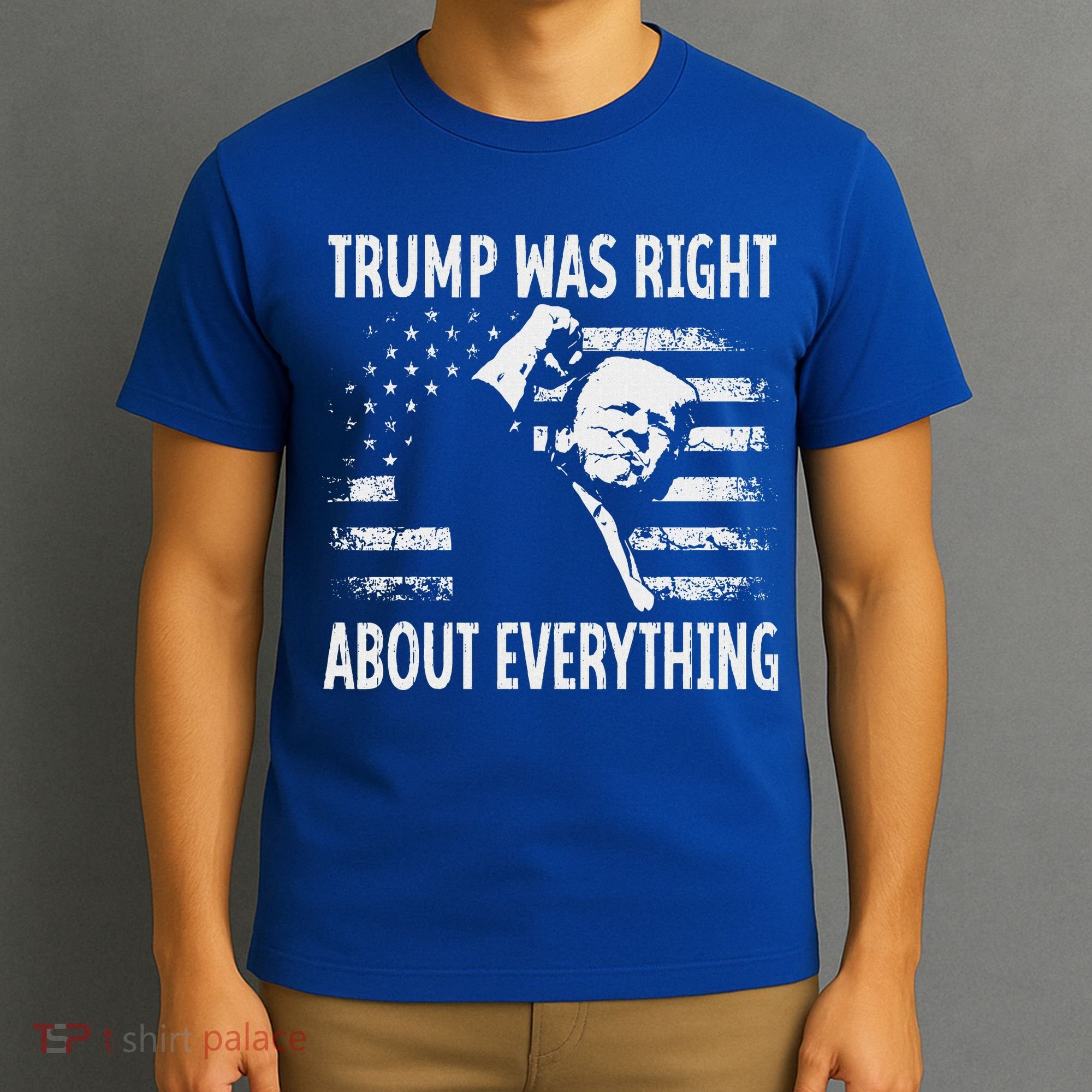Trump Was Right About Everything American Flag 45 47 T-Shirt