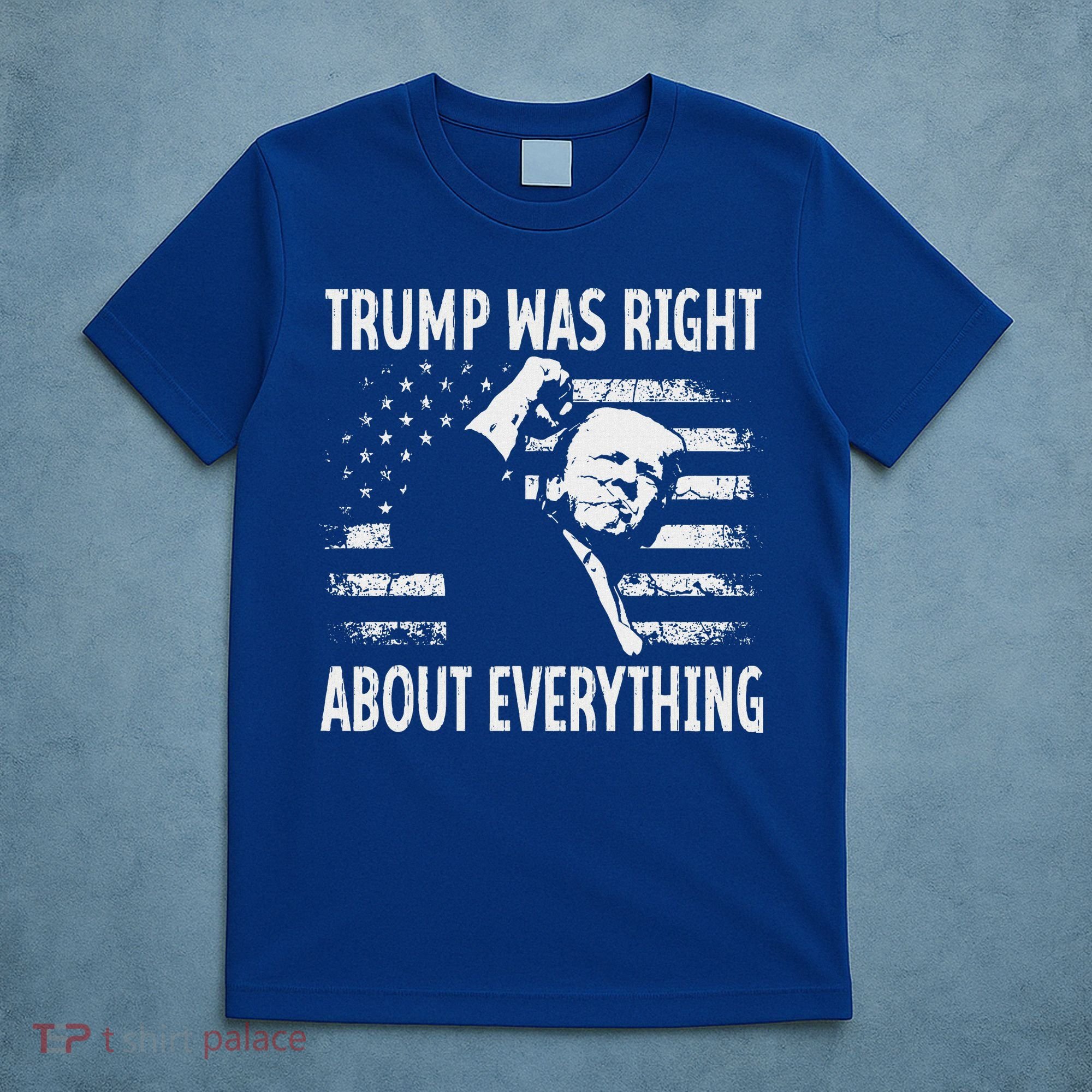 Trump Was Right About Everything American Flag 45 47 T-Shirt