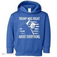 Trump Was Right About Everything American Flag 45 47 Toddler Hoodie thumb 0