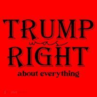 Trump Was Right About Everything Donald Trump Supporters Santa Hat thumb 1
