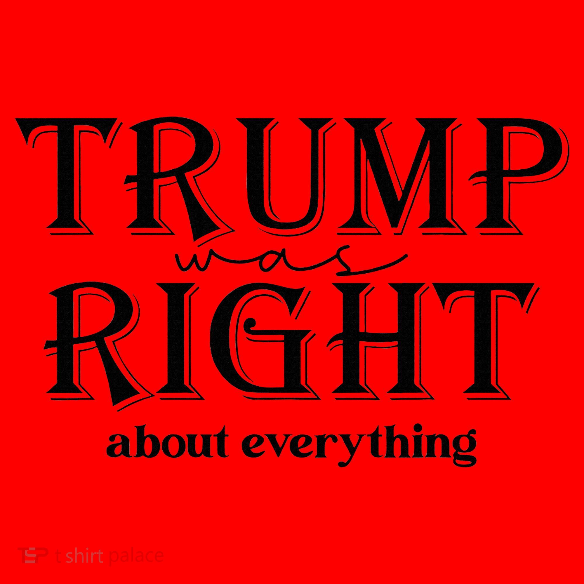 Trump Was Right About Everything Donald Trump Supporters Santa Hat