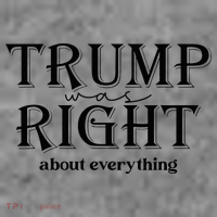 Trump Was Right About Everything Donald Trump Supporters Toddler Hoodie thumb 2