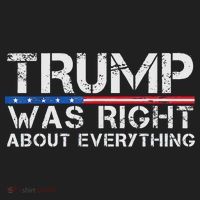 trump was right about everything Gift Golf Towel thumb 3