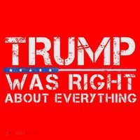 trump was right about everything Gift Santa Hat thumb 1