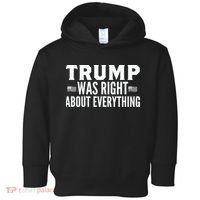 Trump Was Right About Everything Rally Toddler Hoodie thumb 0