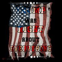 Trump Was Right About Everything USA Flag Women's Hoodie thumb 2