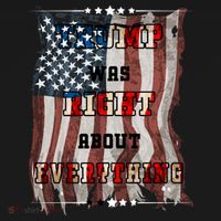 Trump Was Right About Everything USA Flag Ornament thumb 1