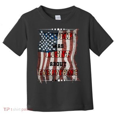 Trump Was Right About Everything USA Flag Toddler T-Shirt