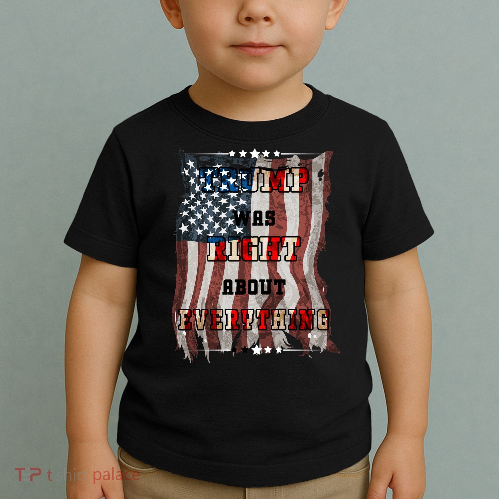 Trump Was Right About Everything USA Flag Toddler T-Shirt