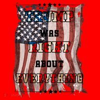 Trump Was Right About Everything USA Flag Santa Hat thumb 1
