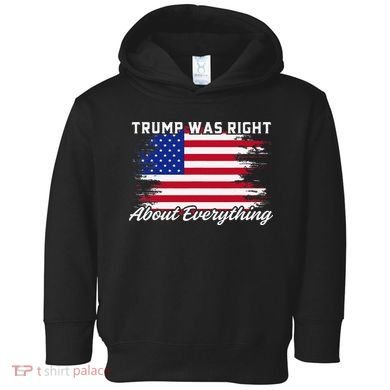 Trump Was Right About Everything President Flag Statement Toddler Hoodie