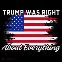 Trump Was Right About Everything President Flag Statement Women's T-Shirt thumb 6