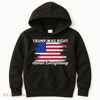 Trump Was Right About Everything President Flag Statement Kids Hoodie thumb 0
