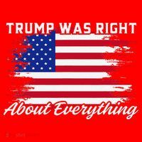 Trump Was Right About Everything President Flag Statement Santa Hat thumb 1