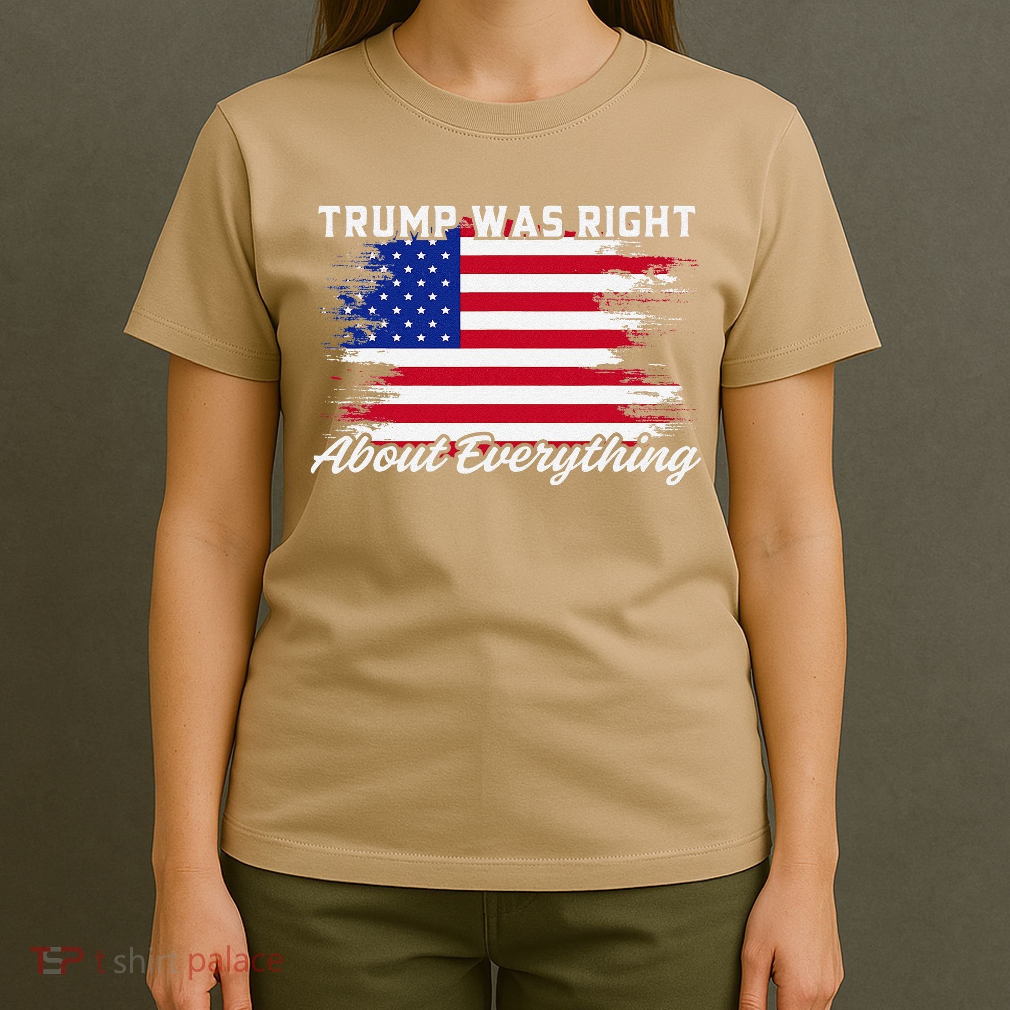 Trump Was Right About Everything President Flag Statement T-Shirt
