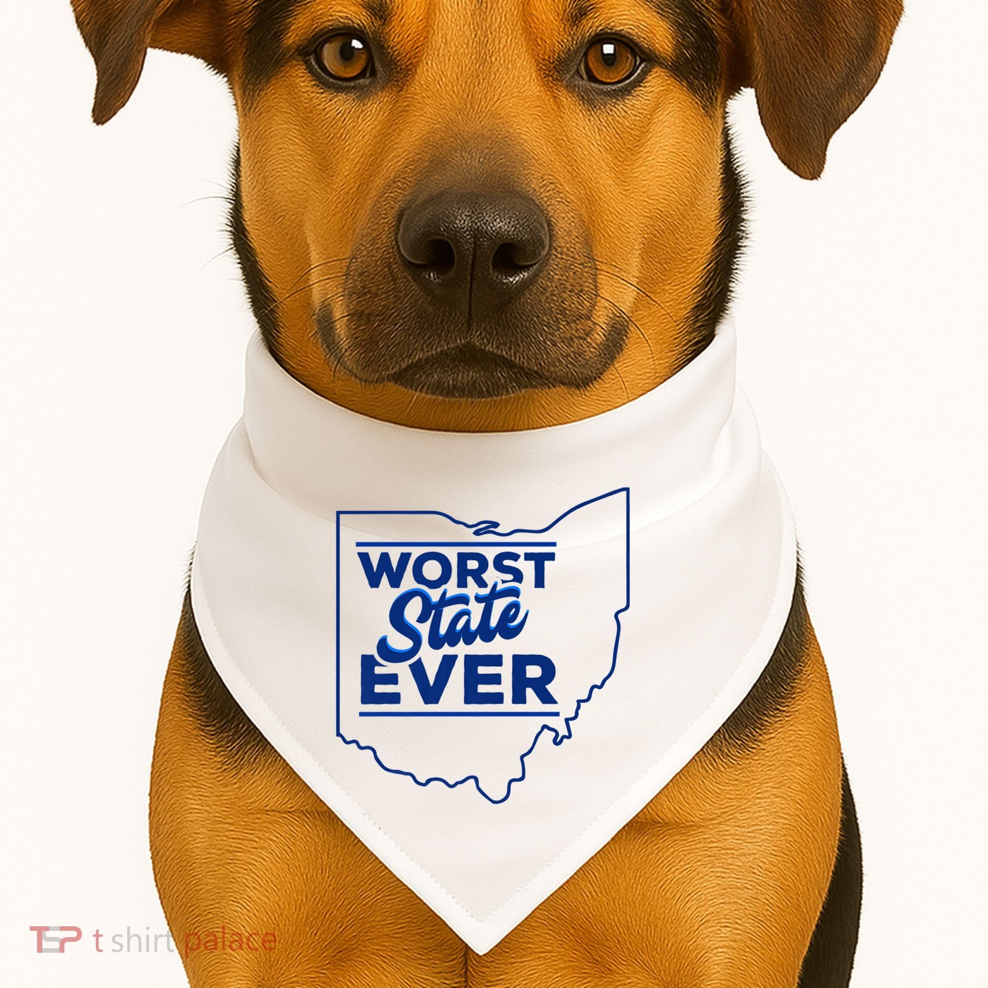 The Worst State Ever Is Ohio USA-Made Doggie Bandana