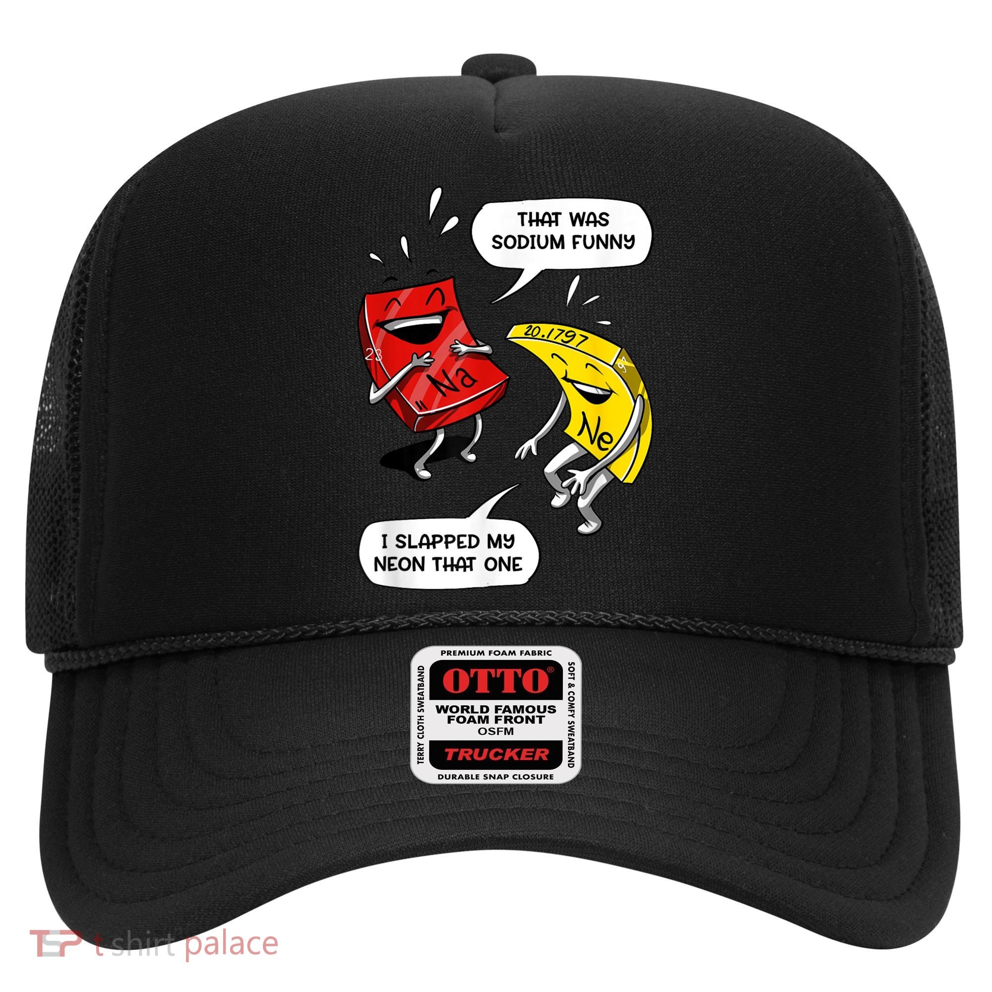 That Was Sodium Funny Geek Chemistry Science Joke Hat