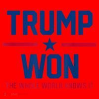 Trump Won The Whole World Knows It Santa Hat thumb 1