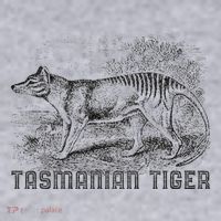 Tasmanian Wolf Tiger Thylacine Australian Extinction Gift Women's Sweatshirt thumb 2